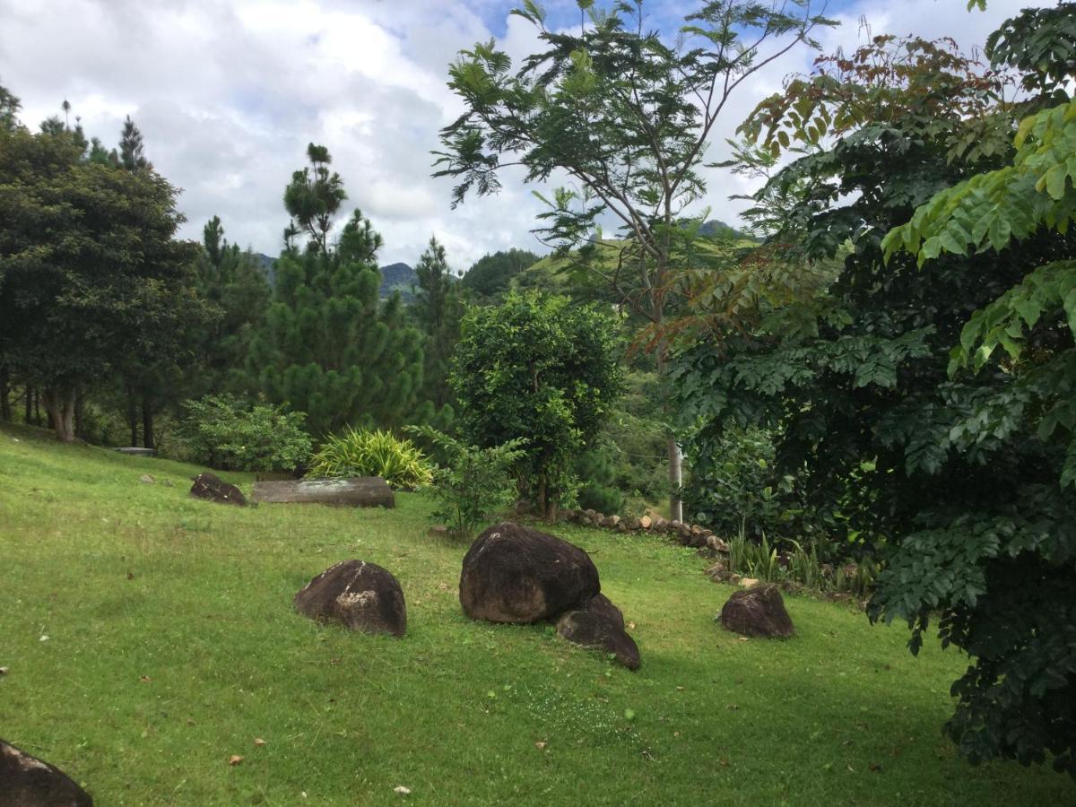 Hawk'S Nest Bed & Breakfast La Laguna de San Carlos Exterior foto