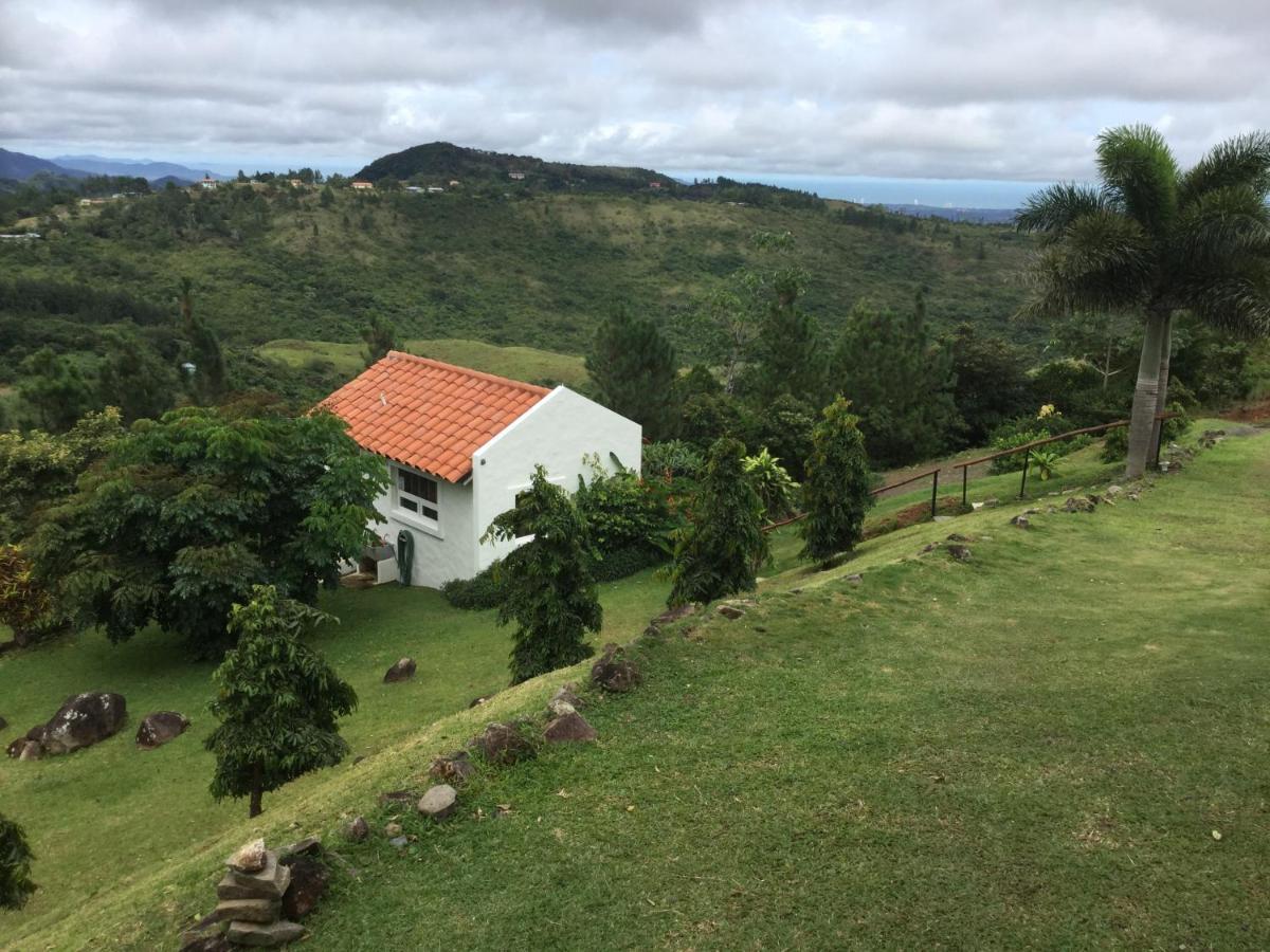 Hawk'S Nest Bed & Breakfast La Laguna de San Carlos Exterior foto