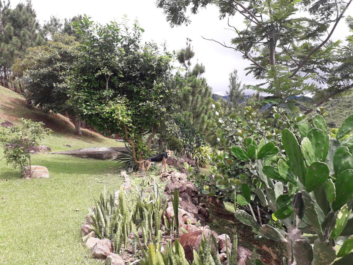 Hawk'S Nest Bed & Breakfast La Laguna de San Carlos Exterior foto