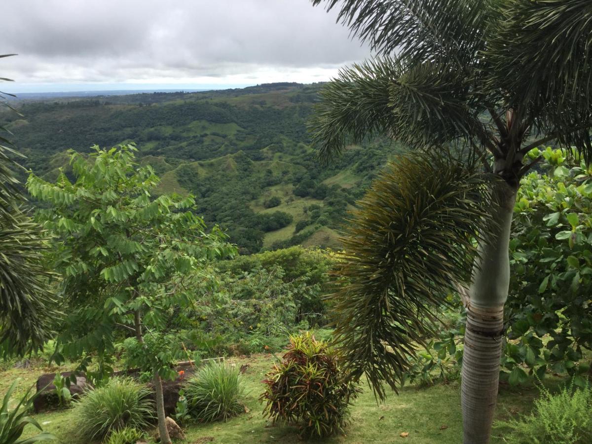 Hawk'S Nest Bed & Breakfast La Laguna de San Carlos Exterior foto