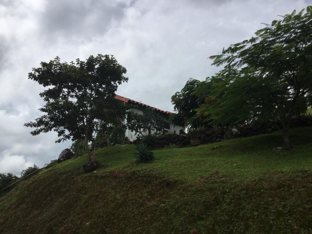 Hawk'S Nest Bed & Breakfast La Laguna de San Carlos Exterior foto