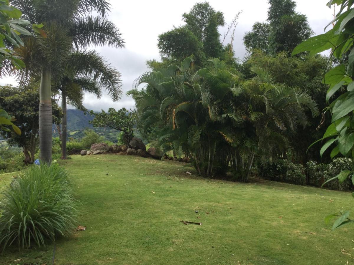 Hawk'S Nest Bed & Breakfast La Laguna de San Carlos Exterior foto