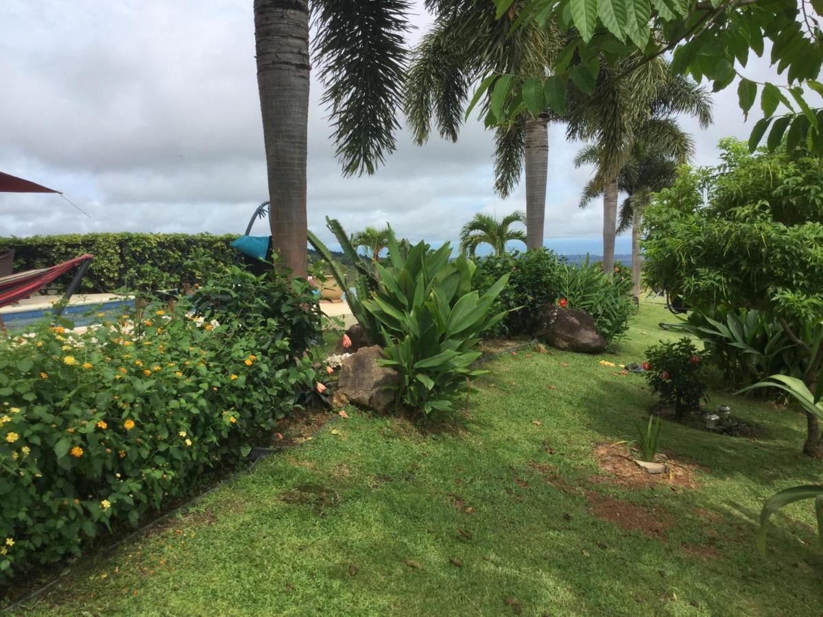 Hawk'S Nest Bed & Breakfast La Laguna de San Carlos Exterior foto