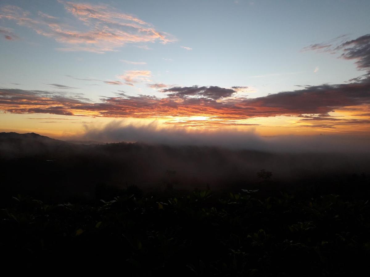 Hawk'S Nest Bed & Breakfast La Laguna de San Carlos Exterior foto