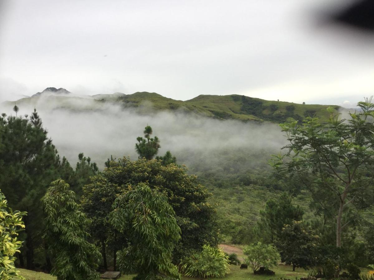 Hawk'S Nest Bed & Breakfast La Laguna de San Carlos Exterior foto