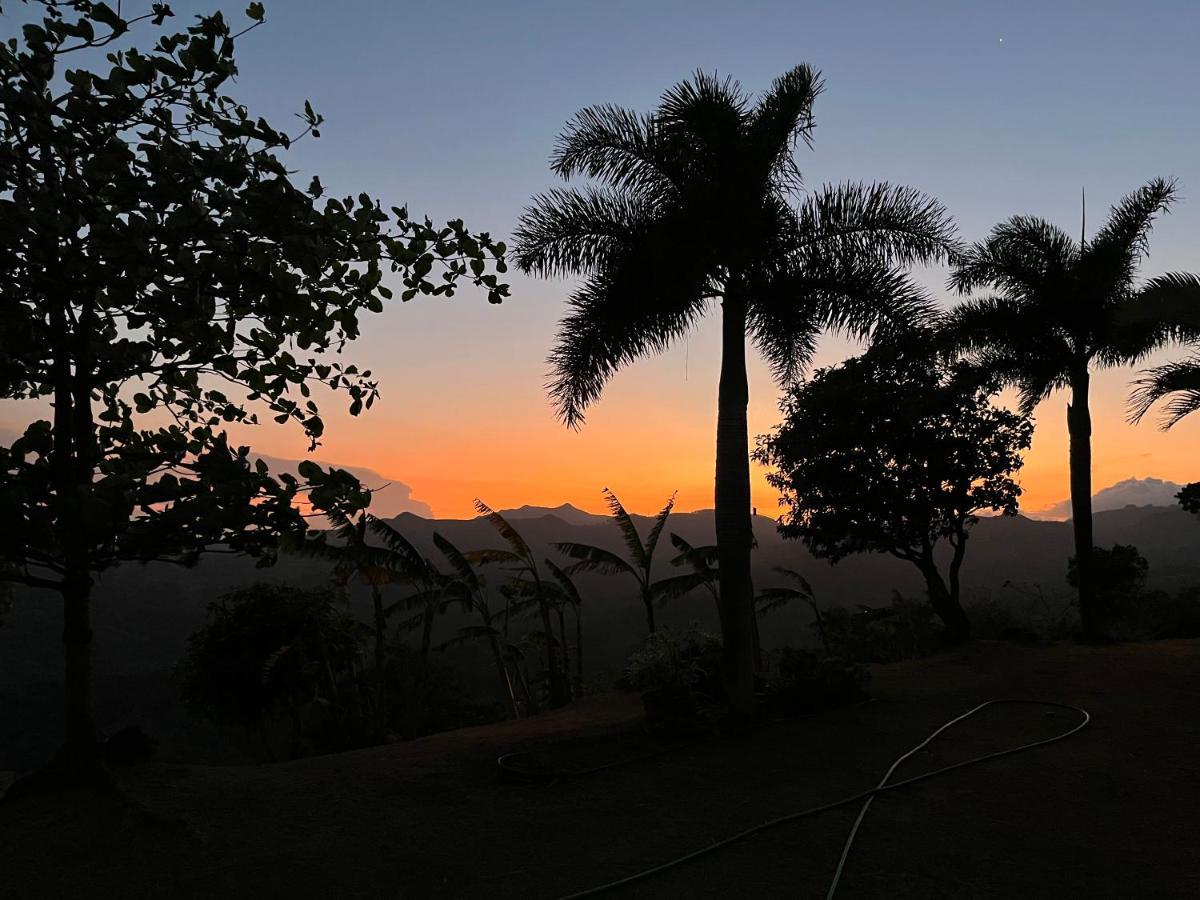 Hawk'S Nest Bed & Breakfast La Laguna de San Carlos Exterior foto