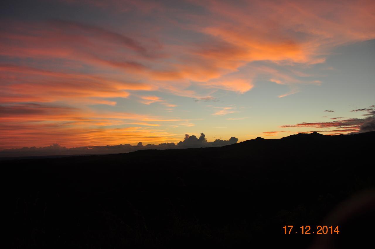 Hawk'S Nest Bed & Breakfast La Laguna de San Carlos Exterior foto