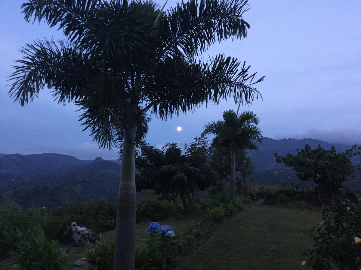 Hawk'S Nest Bed & Breakfast La Laguna de San Carlos Exterior foto