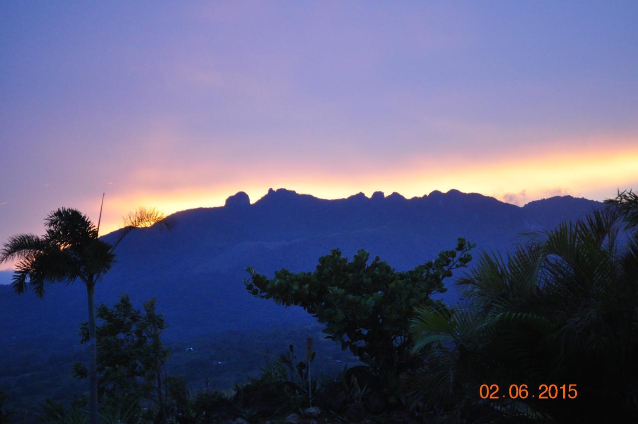 Hawk'S Nest Bed & Breakfast La Laguna de San Carlos Exterior foto
