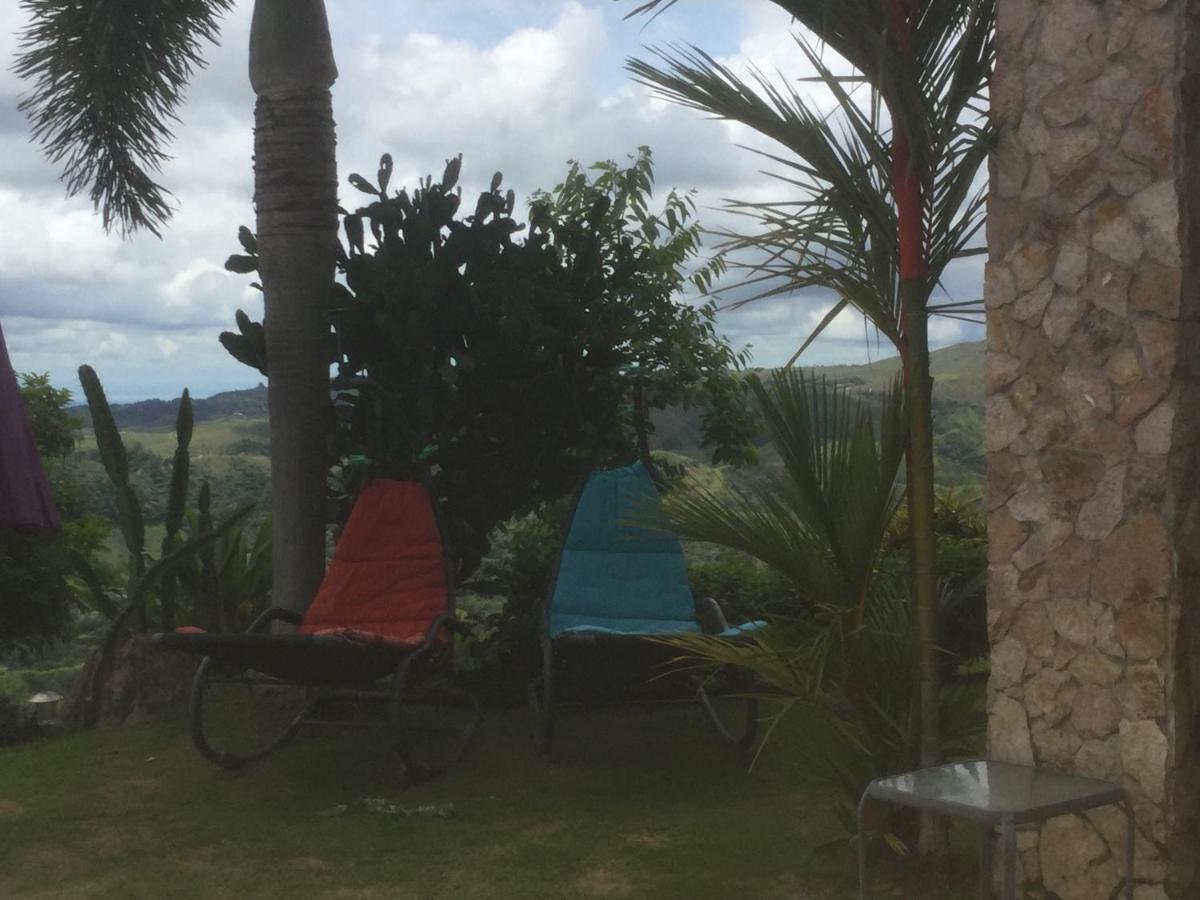 Hawk'S Nest Bed & Breakfast La Laguna de San Carlos Exterior foto