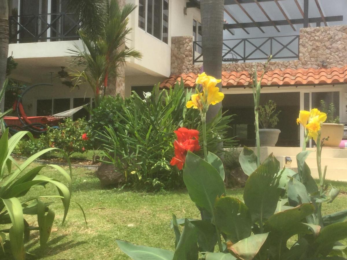 Hawk'S Nest Bed & Breakfast La Laguna de San Carlos Exterior foto
